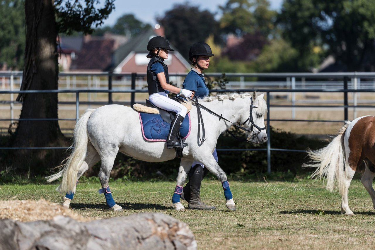 Bild 77 - Pony Akademie Turnier